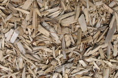 biomass boilers Beddau